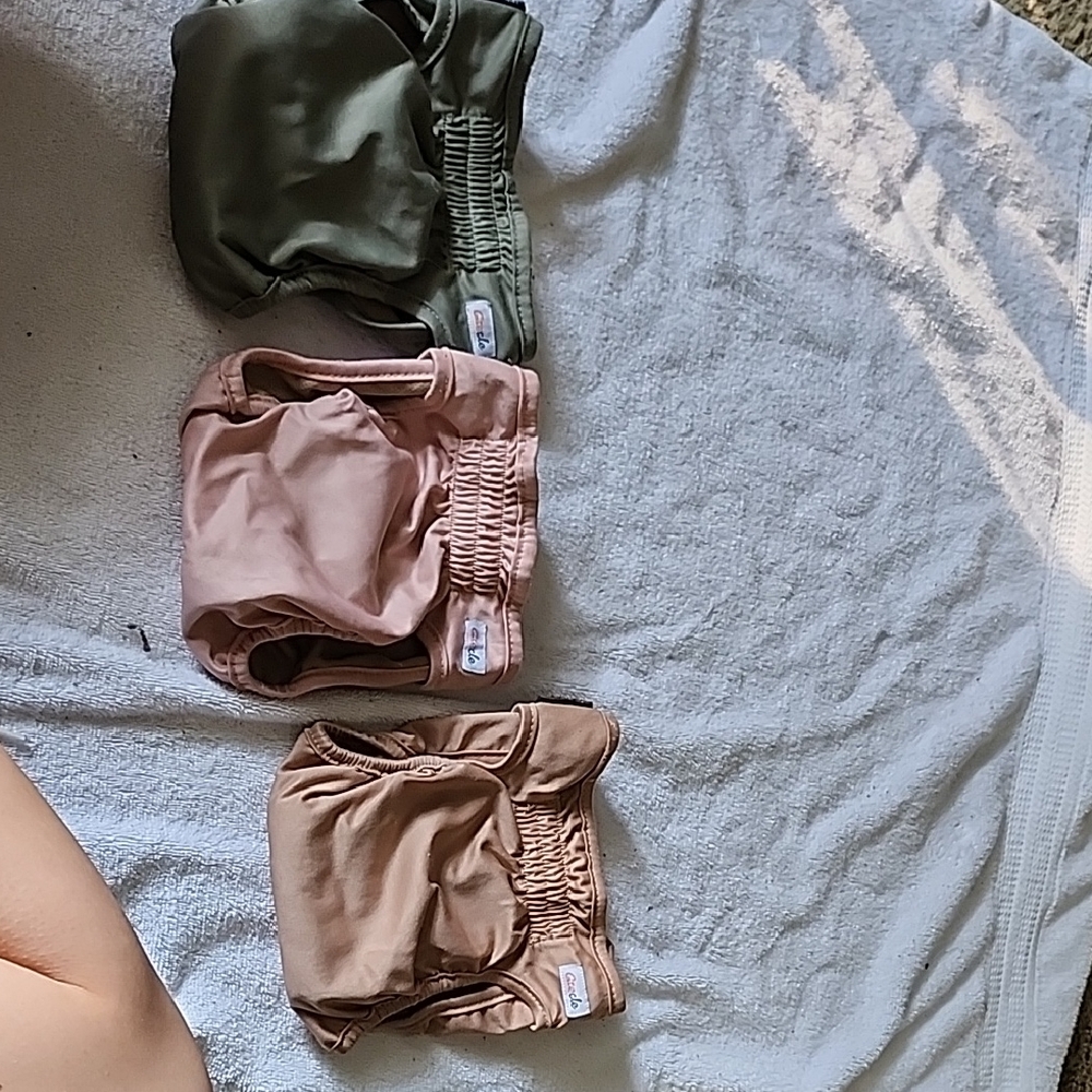 Pink Green and Tan Dog Diapers